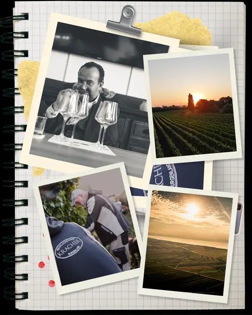 Collage opt 2 — India International Spirits Competition
